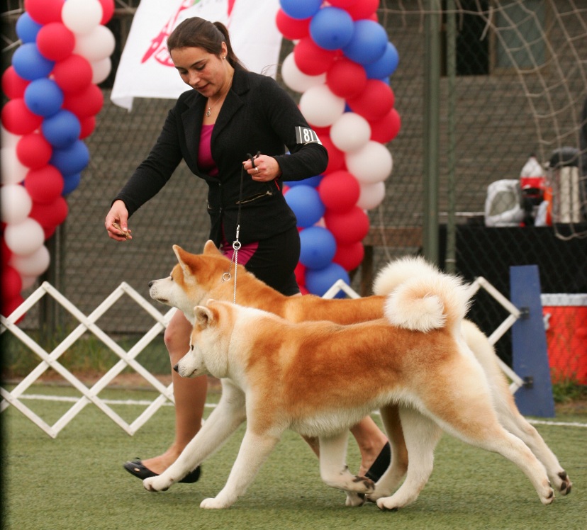 ESPECIALIZADA (1542).JPG